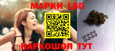 твердый Гатчина