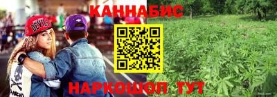 твердый Гатчина
