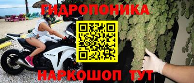 твердый Гатчина
