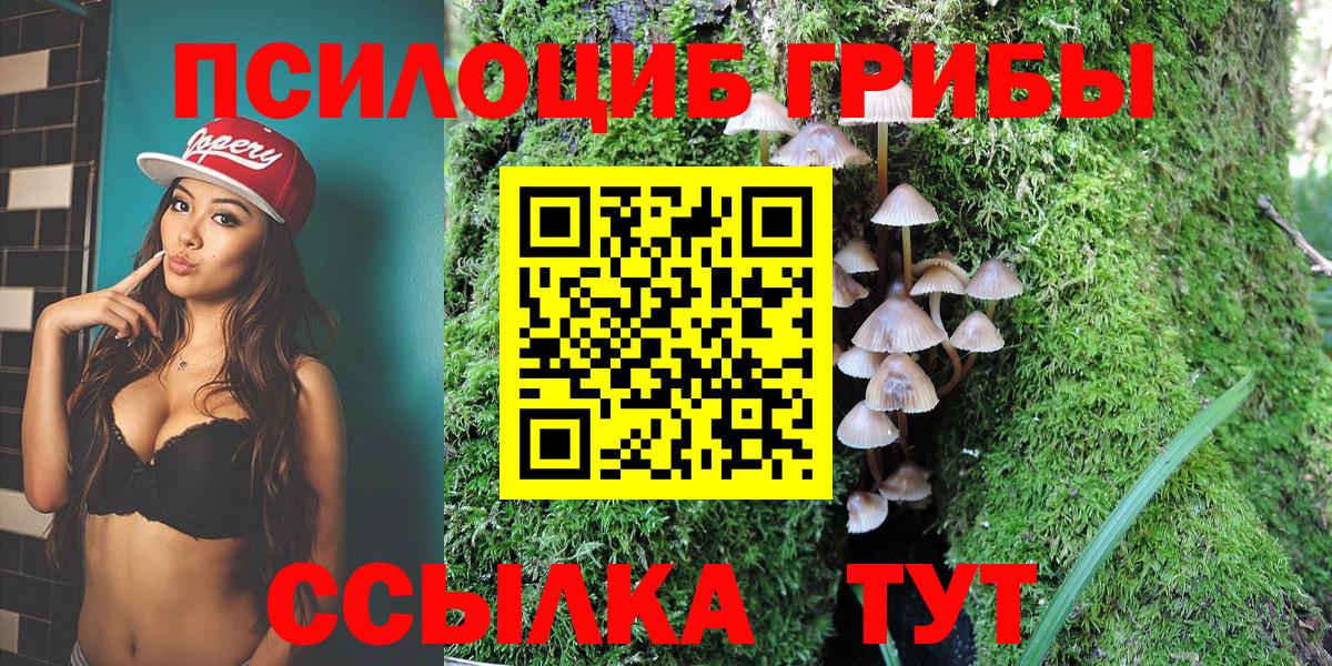 Галлюциногенные грибы Cubensis  Вход с VPN  Острогожск 